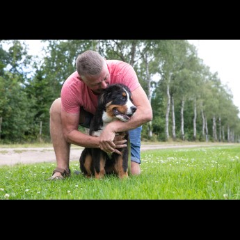 Huisdier (net buiten park)