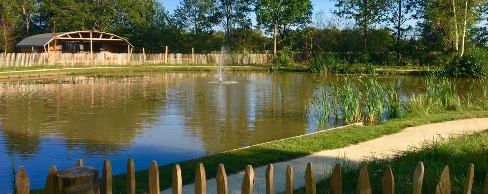 IMG_4632.JPG IMG_4632.JPG