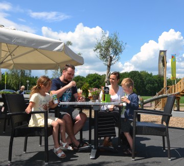 Terras
