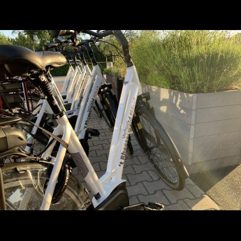 Elektrische fietsen .jpg