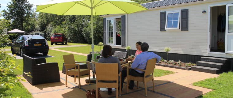 Esdoorn op 't Rheezerwold 10