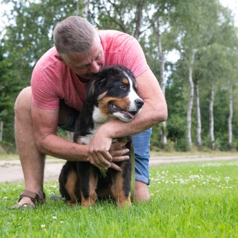 Huisdier (net buiten park)