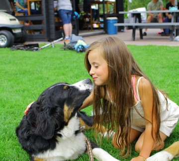 Honden