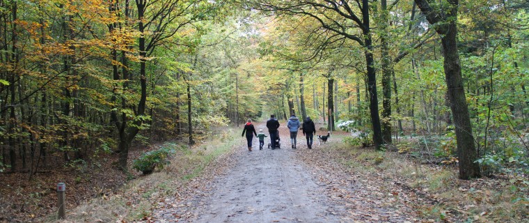 herfst 3.JPG